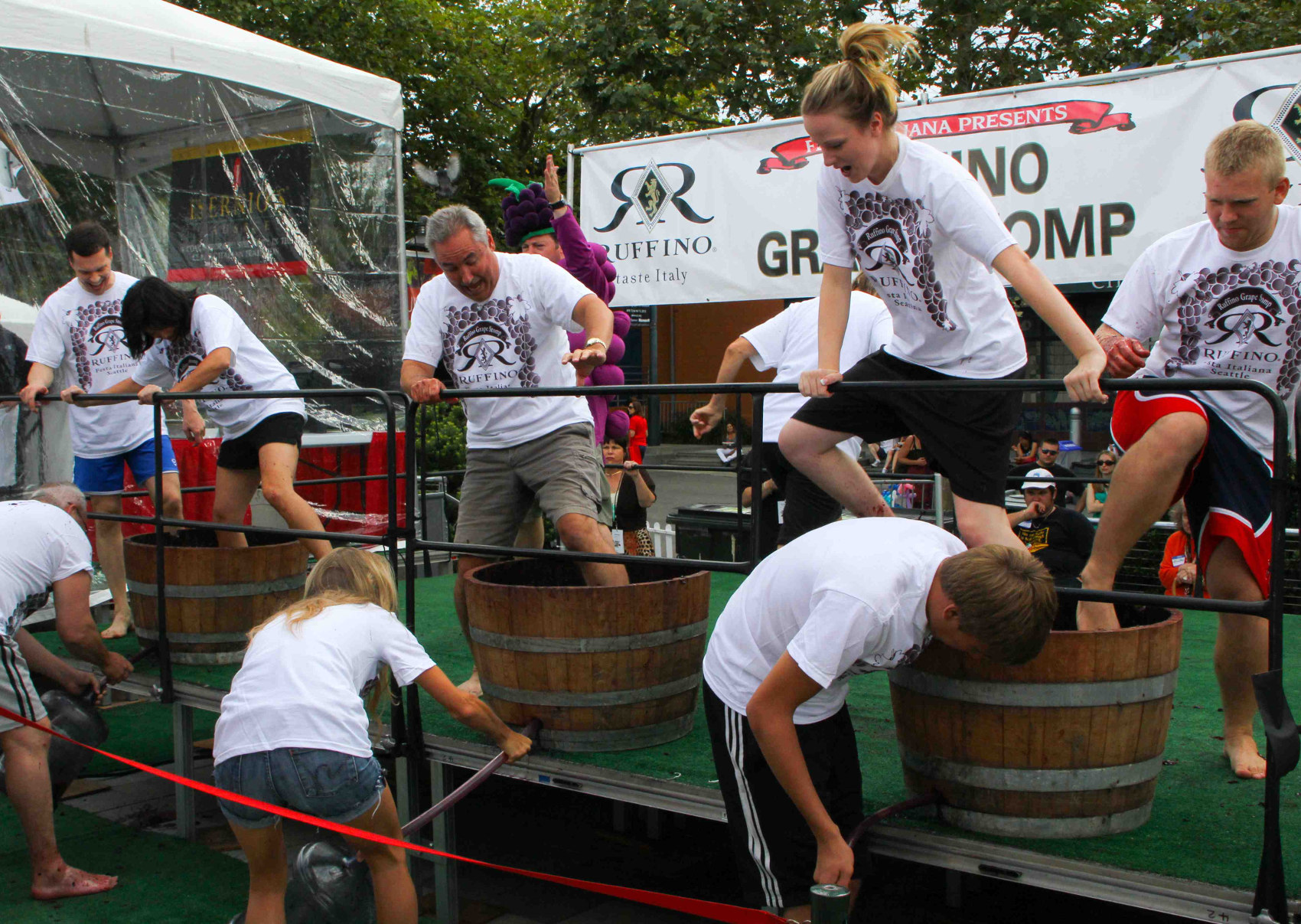 Grape Stomp, call for entries